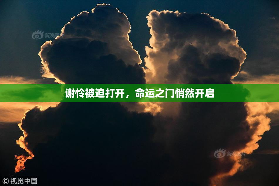 谢怜被迫打开，命运之门悄然开启