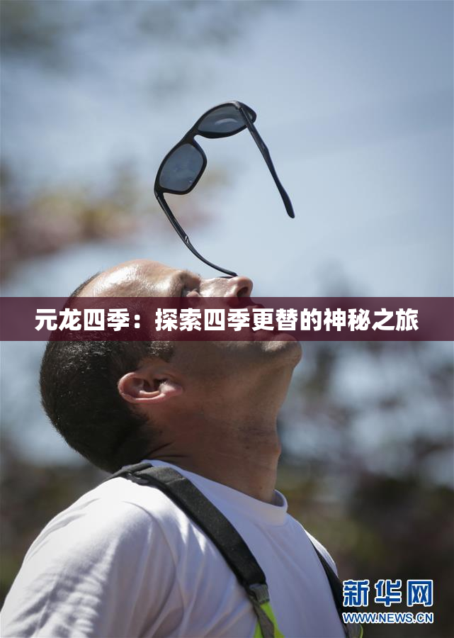 元龙四季：探索四季更替的神秘之旅