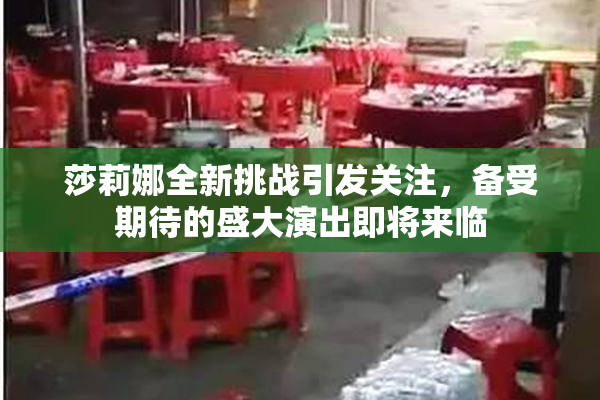 莎莉娜全新挑战引发关注，备受期待的盛大演出即将来临