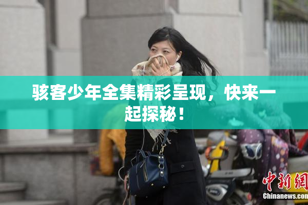 骇客少年全集精彩呈现，快来一起探秘！