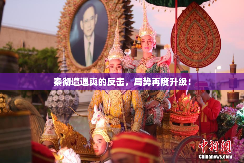 秦彻遭遇爽的反击，局势再度升级！