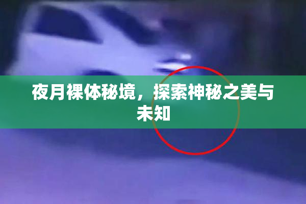 夜月裸体秘境，探索神秘之美与未知