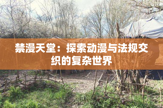 禁漫天堂：探索动漫与法规交织的复杂世界