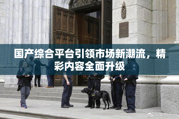 国产综合平台引领市场新潮流，精彩内容全面升级