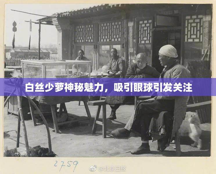 白丝少萝神秘魅力，吸引眼球引发关注