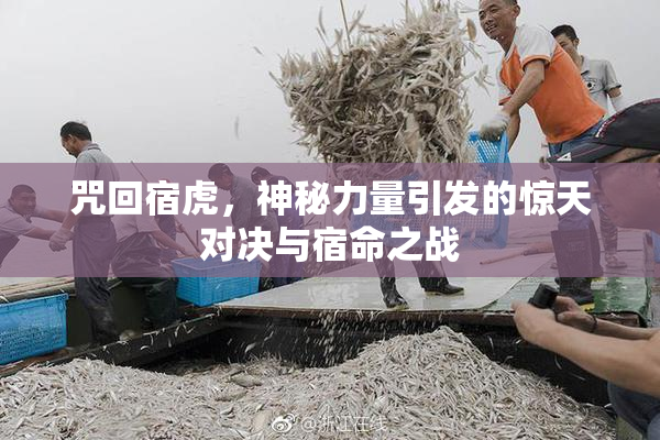 咒回宿虎，神秘力量引发的惊天对决与宿命之战