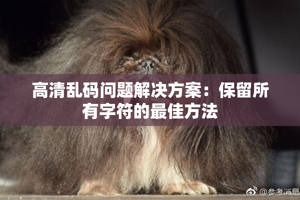 高清乱码问题解决方案：保留所有字符的最佳方法