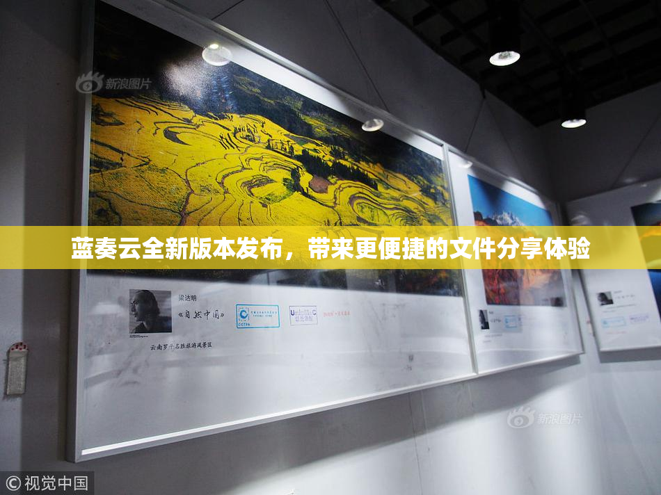 蓝奏云全新版本发布，带来更便捷的文件分享体验