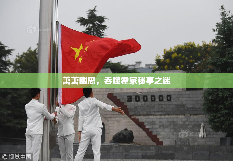 萧萧幽思，吞噬霍家秘事之迷