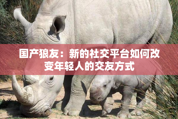 国产狼友：新的社交平台如何改变年轻人的交友方式