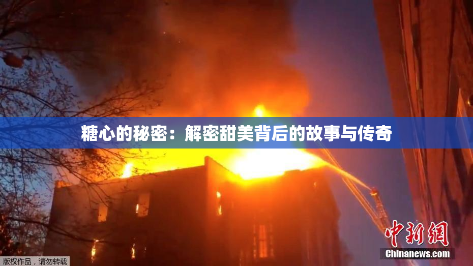 糖心的秘密：解密甜美背后的故事与传奇
