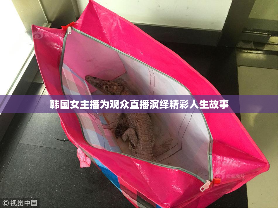 韩国女主播为观众直播演绎精彩人生故事
