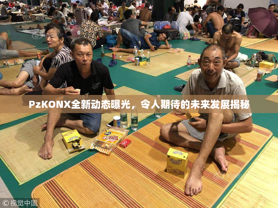 PzKONX全新动态曝光，令人期待的未来发展揭秘