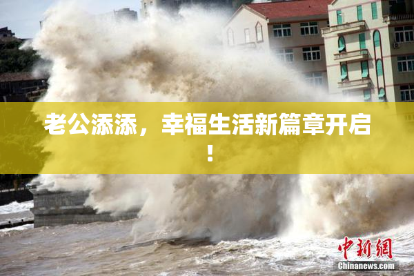 老公添添，幸福生活新篇章开启！