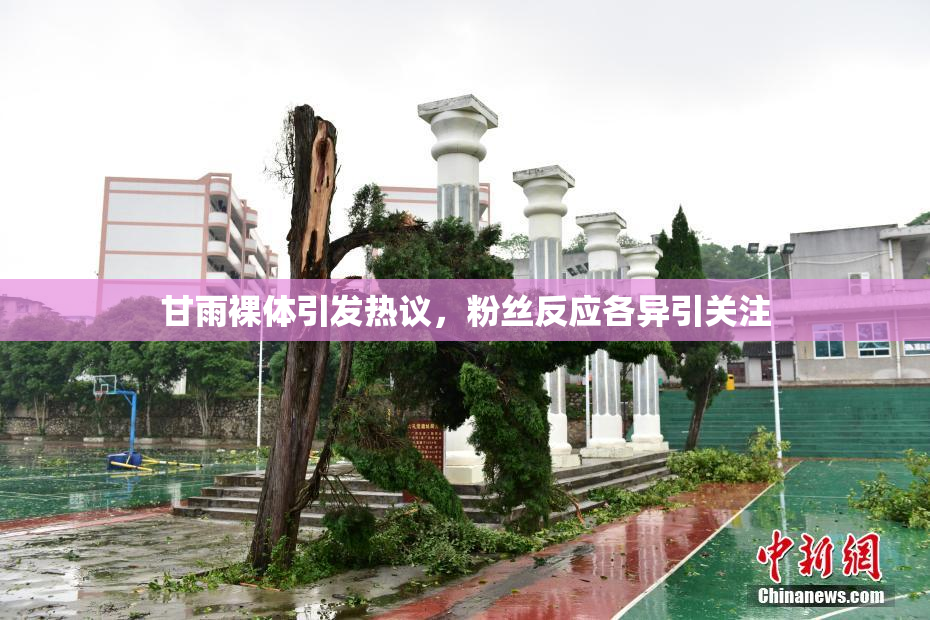 甘雨裸体引发热议，粉丝反应各异引关注