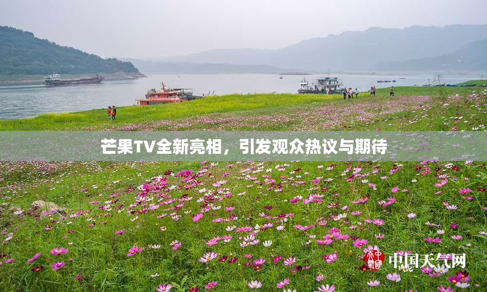 芒果TV全新亮相，引发观众热议与期待