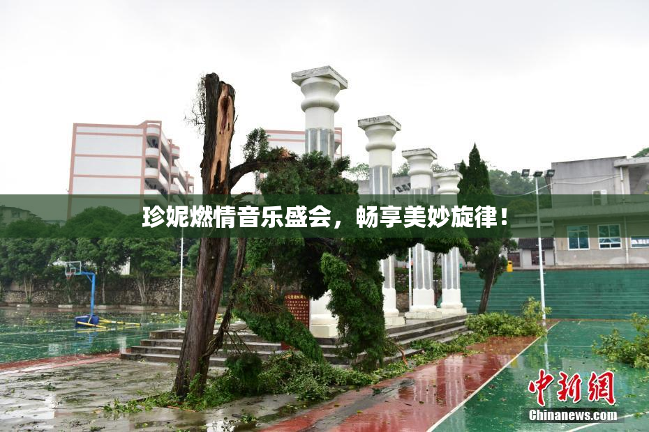珍妮燃情音乐盛会，畅享美妙旋律！