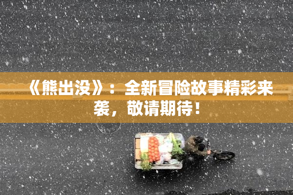 《熊出没》：全新冒险故事精彩来袭，敬请期待！