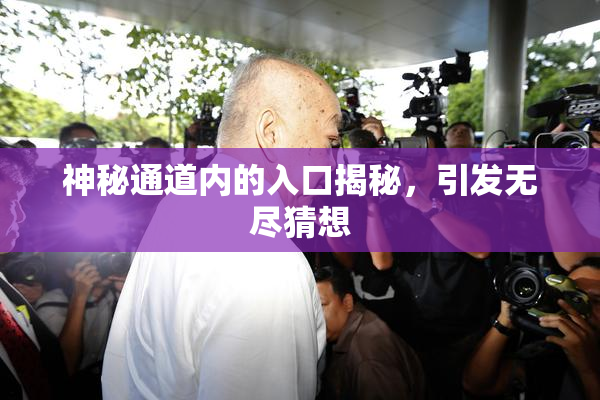 神秘通道内的入口揭秘，引发无尽猜想