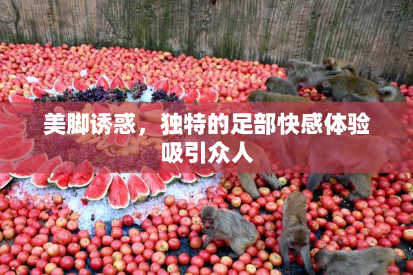 美脚诱惑，独特的足部快感体验吸引众人