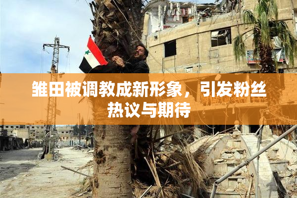 雏田被调教成新形象，引发粉丝热议与期待