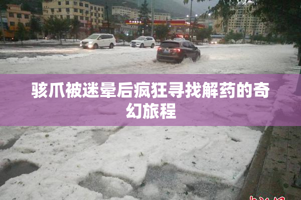 骇爪被迷晕后疯狂寻找解药的奇幻旅程