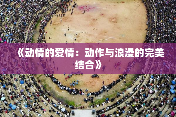 《动情的爱情：动作与浪漫的完美结合》
