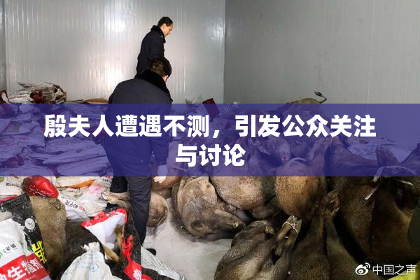 殷夫人遭遇不测，引发公众关注与讨论