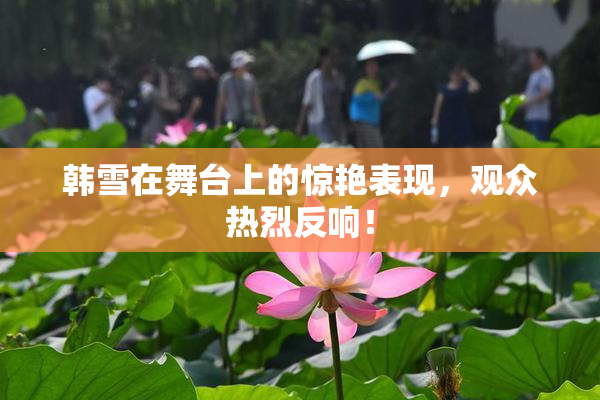 韩雪在舞台上的惊艳表现，观众热烈反响！