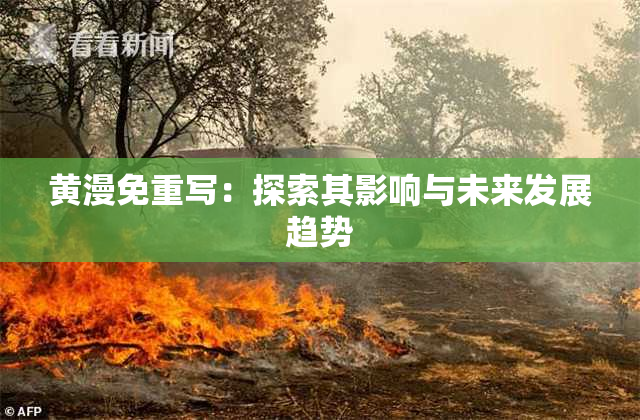 黄漫免重写：探索其影响与未来发展趋势