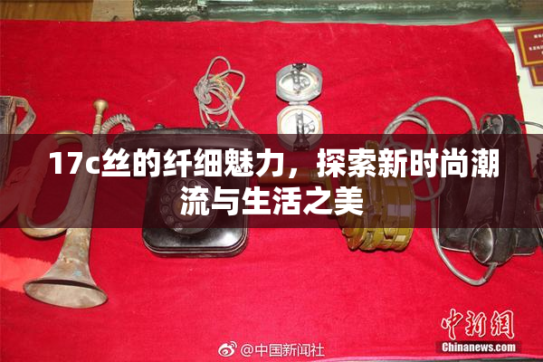 17c丝的纤细魅力，探索新时尚潮流与生活之美