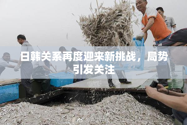 日韩关系再度迎来新挑战，局势引发关注