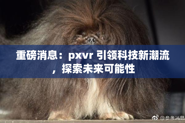 重磅消息：pxvr 引领科技新潮流，探索未来可能性