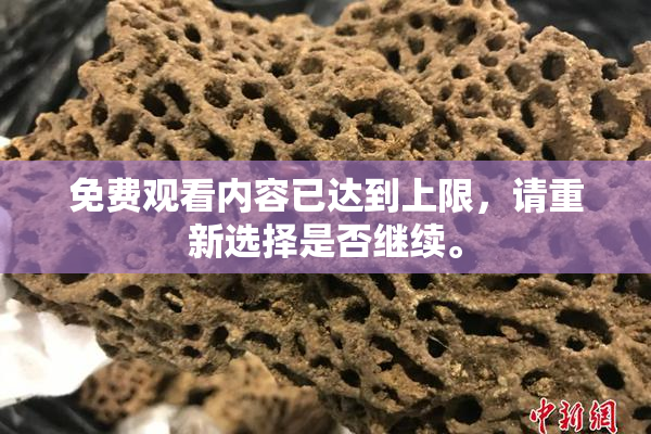 免费观看内容已达到上限，请重新选择是否继续。