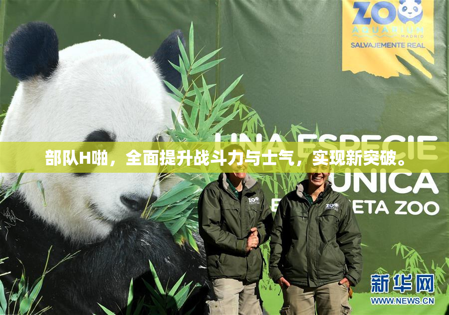 部队H啪，全面提升战斗力与士气，实现新突破。