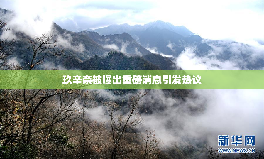 玖辛奈被曝出重磅消息引发热议