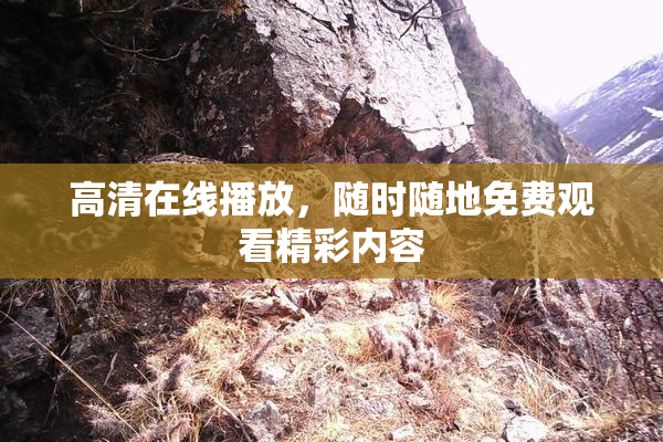 高清在线播放，随时随地免费观看精彩内容