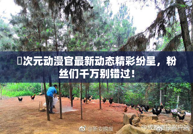 囧次元动漫官最新动态精彩纷呈，粉丝们千万别错过！