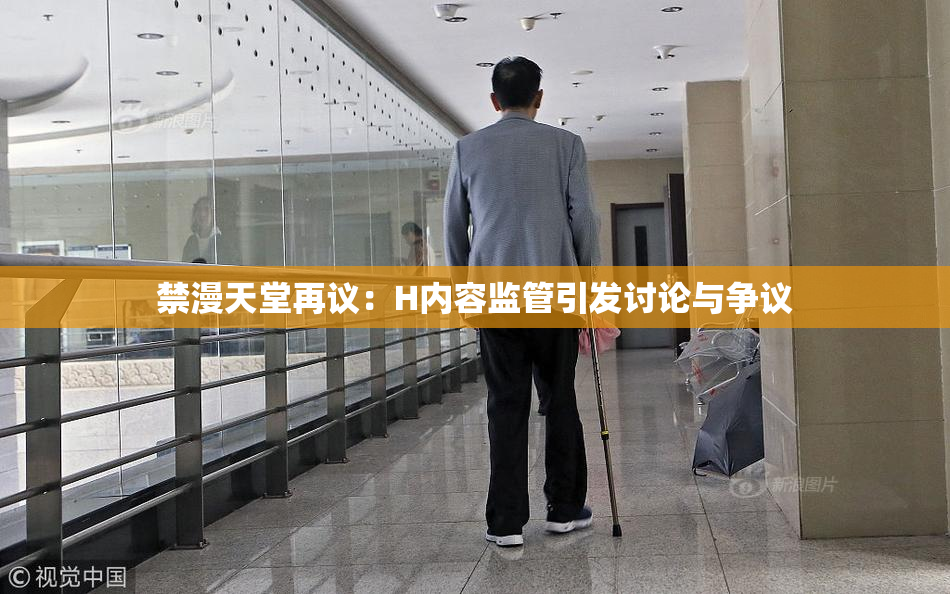 禁漫天堂再议：H内容监管引发讨论与争议
