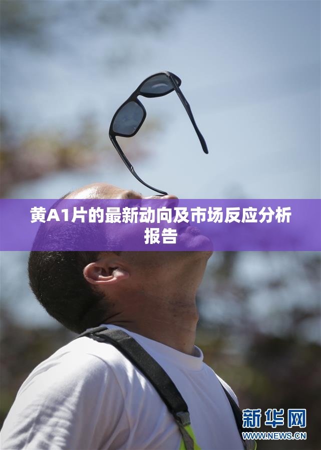 黄A1片的最新动向及市场反应分析报告
