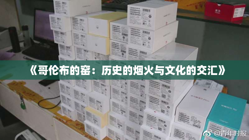 《哥伦布的窑：历史的烟火与文化的交汇》