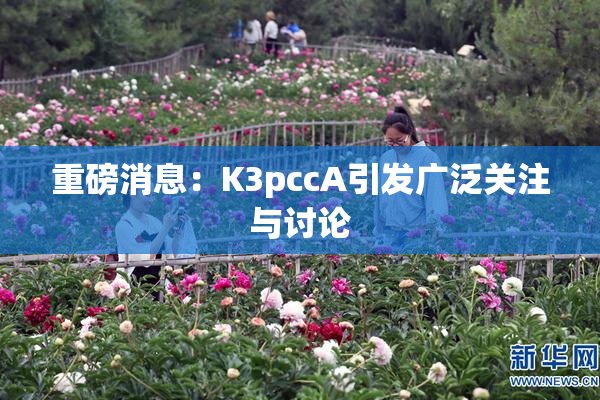 重磅消息：K3pccA引发广泛关注与讨论