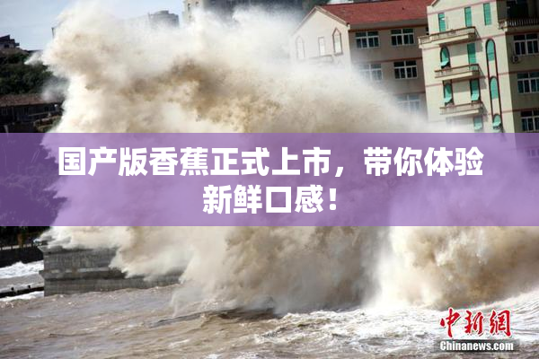 国产版香蕉正式上市，带你体验新鲜口感！