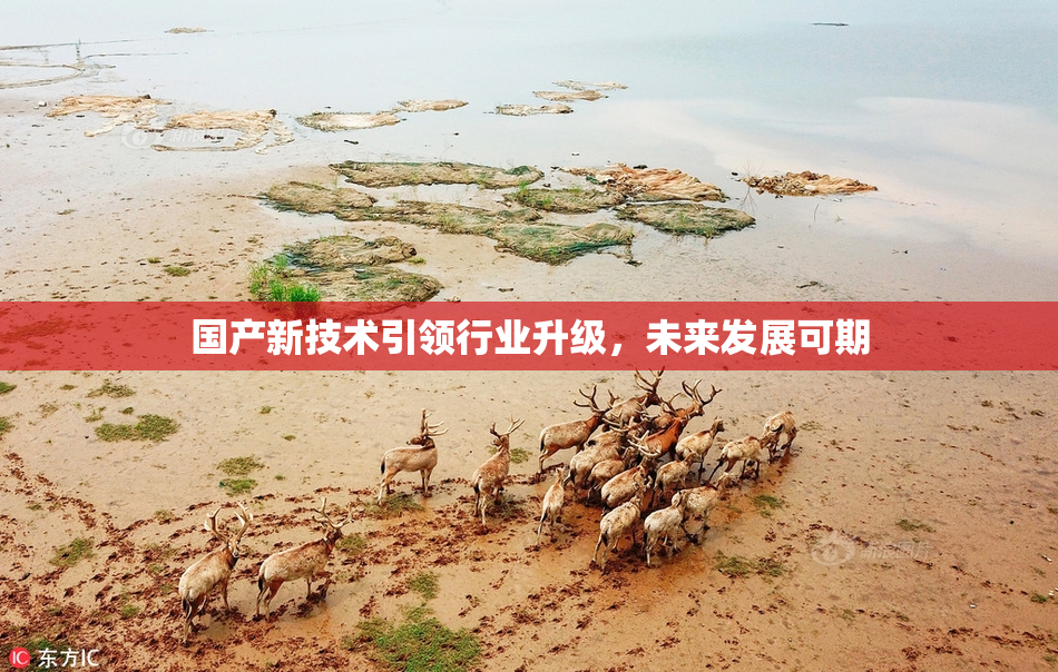 国产新技术引领行业升级，未来发展可期