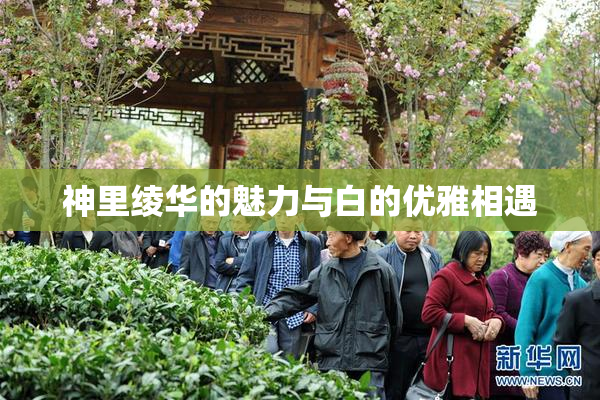 神里绫华的魅力与白的优雅相遇