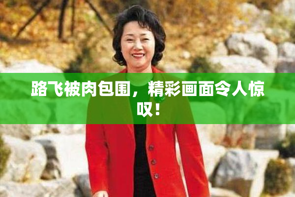 路飞被肉包围，精彩画面令人惊叹！