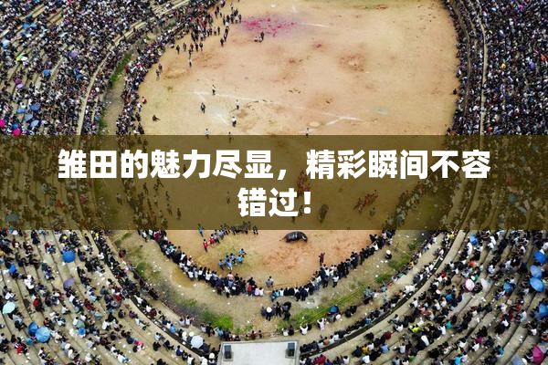 雏田的魅力尽显，精彩瞬间不容错过！