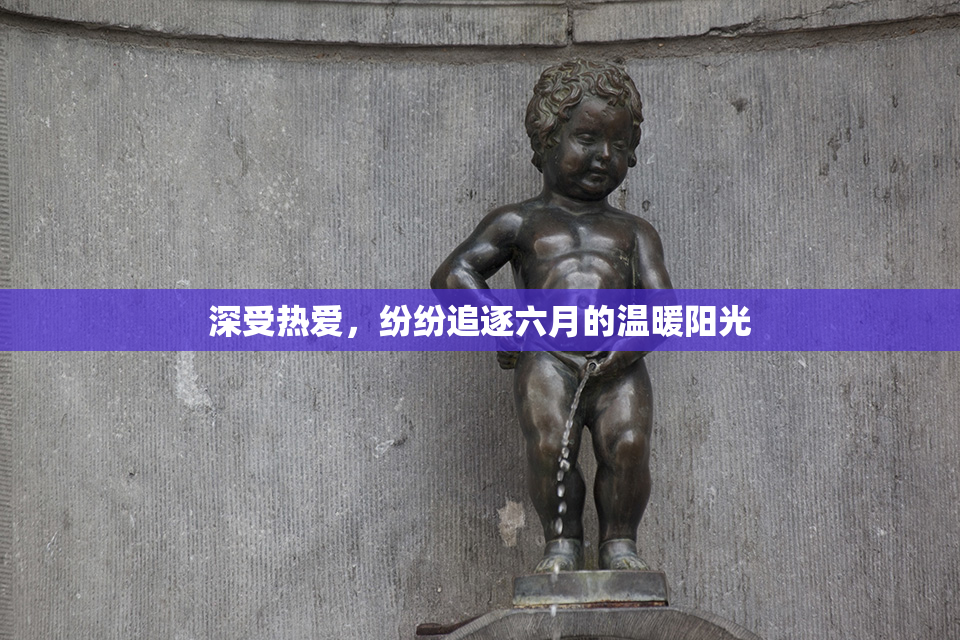 深受热爱，纷纷追逐六月的温暖阳光