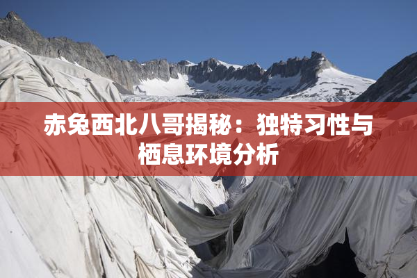 赤兔西北八哥揭秘：独特习性与栖息环境分析