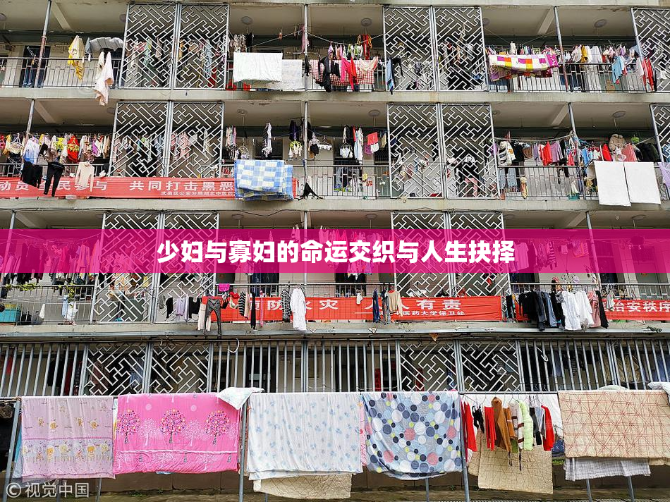 少妇与寡妇的命运交织与人生抉择